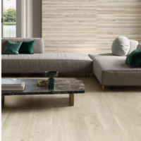 Gres Porcellanato Allure 20x120 Italgraniti<span style="color:red"><br>(Naturale€28/mq)<span style="color:red"><br>(Antislip€28/mq) - immagine 5