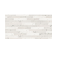Gres Porcellanato Marble Experience Listello Mix 20x120 Italgraniti<span style="color:red"><br>(Naturale€82/mq) - immagine 5