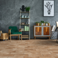 Gres Porcellanato Cotti D'eremo 22x44  Idea Ceramica <span style="color:red"><br>(€18,60/mq)</span> - immagine 4