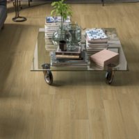 Gres Porcellanato Tender 20x120 R9 Idea Ceramica <span style="color:red"><br>(€24,80/mq)</span>