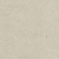 Gres Porcellanato Effetto Pietra Silver Grain 80x80 Italgraniti <span style="color:red"><br> (€34,95/mq) - immagine 6
