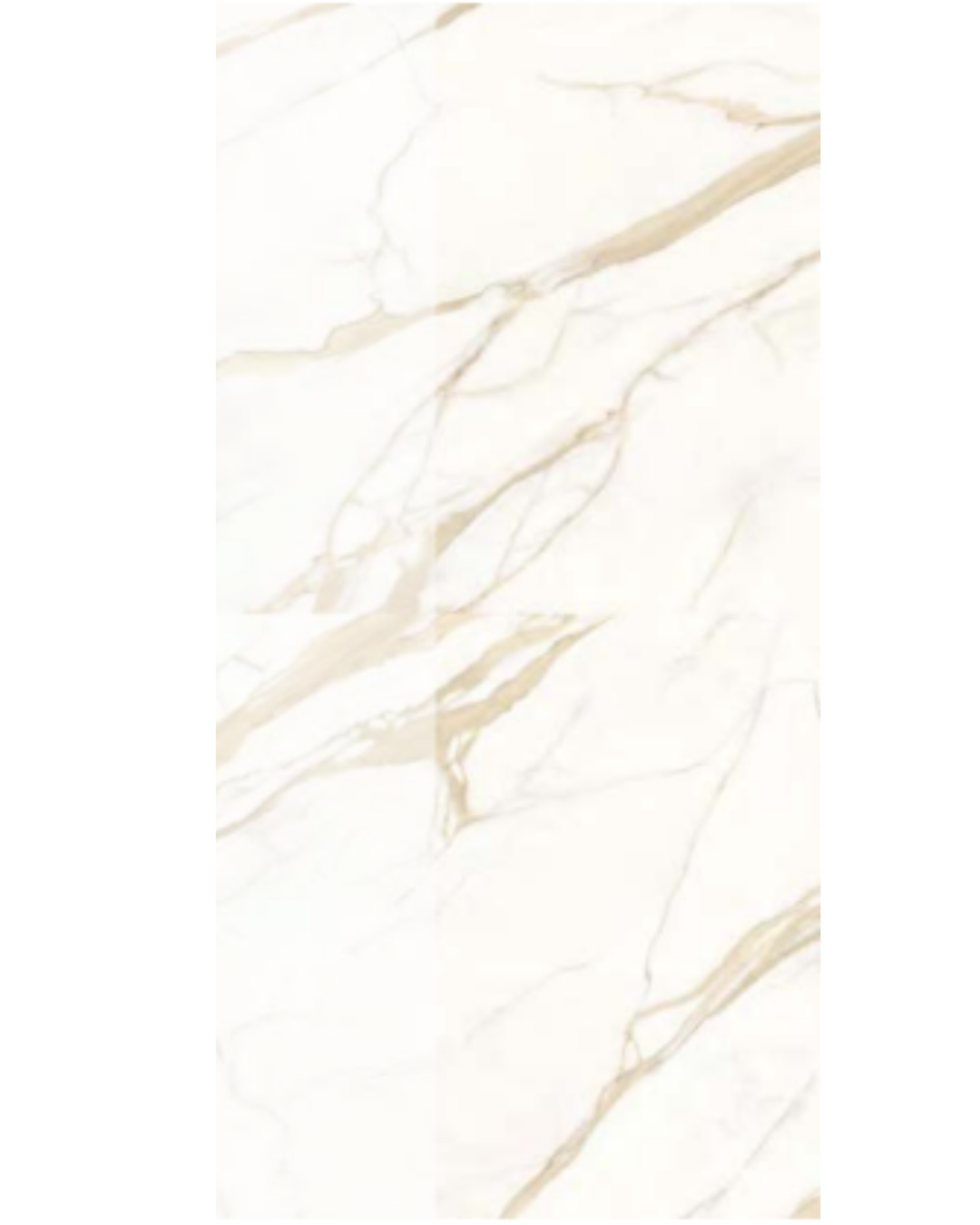 Gres Porcellanato Effetto Marmo Marble Touch 120x120 Italgraniti<span style="color:red"><br>(Naturale€43,90/mq)<span style="color:red"><br>(Lappato€64,90/mq) - immagine 14